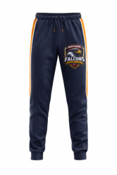 Falcons training track pants 